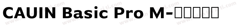 CAUIN Basic Pro M字体转换
